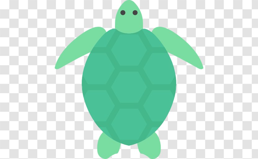 Green Sea Turtle Cheloniidae Tortoise Transparent PNG