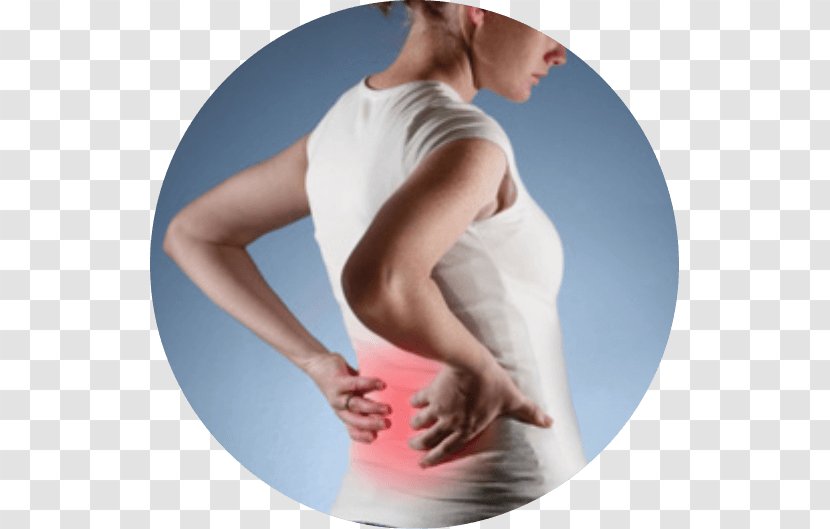 Low Back Pain Neck Therapy Management - Tree Transparent PNG