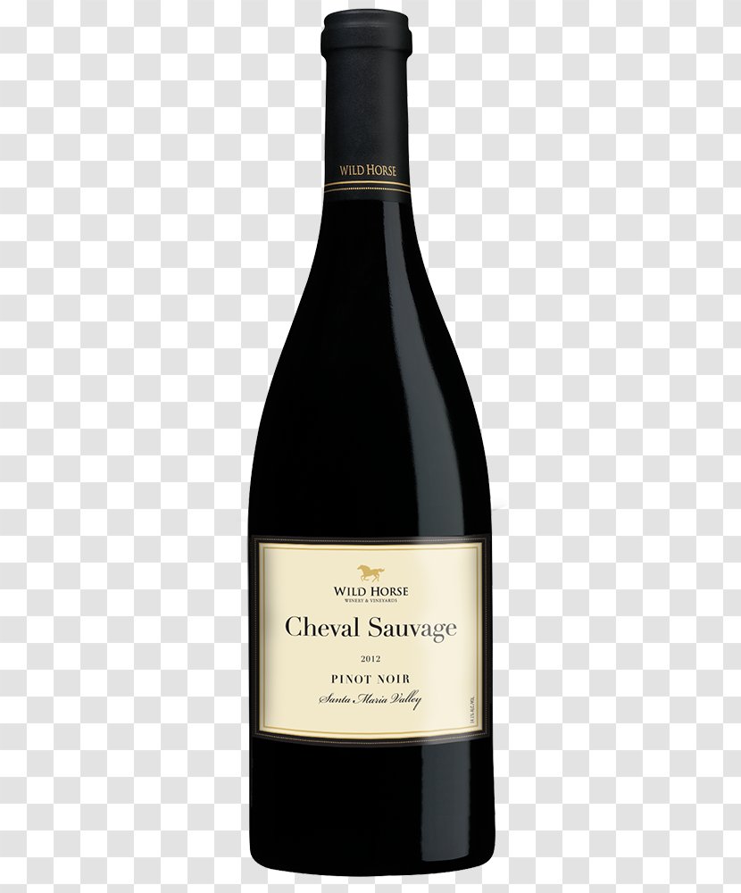 Champagne Pinot Noir Shiraz Red Wine - Watercolor - Notes Transparent PNG