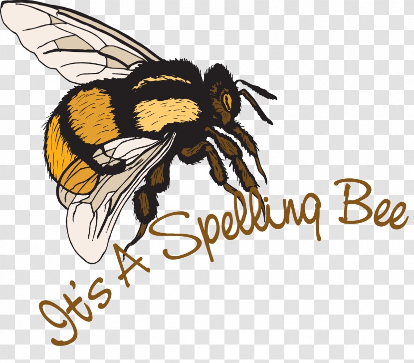 Honey Bee Clip Art - Spelling Transparent PNG
