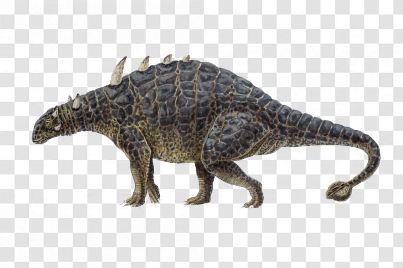 Euoplocephalus Ankylosaurus Styracosaurus Diplodocus Tuojiangosaurus - Bone - Dinosaur Transparent PNG