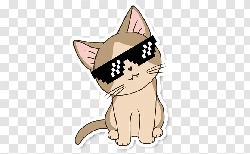 Kitten Whiskers Cat Sticker Telegram - Meow Transparent PNG