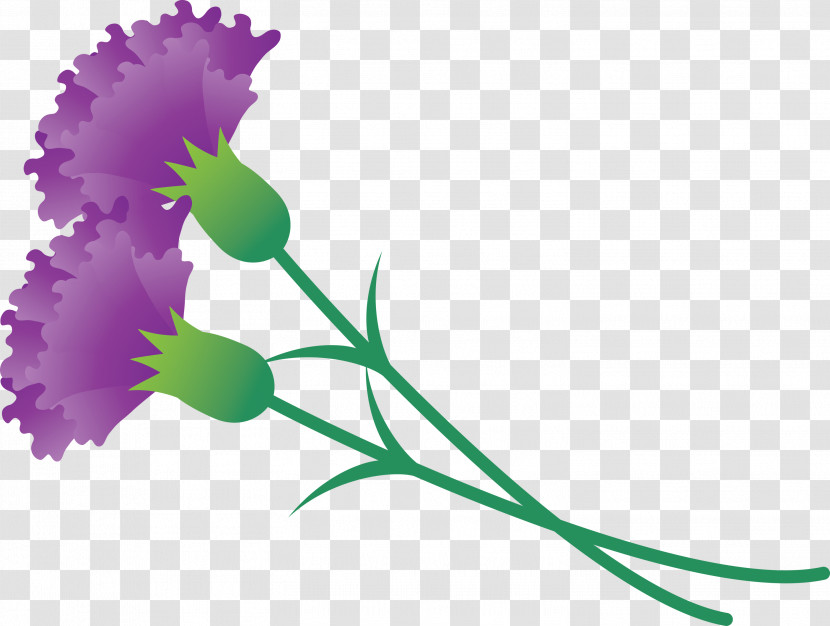 Mothers Day Carnation Mothers Day Flower Transparent PNG