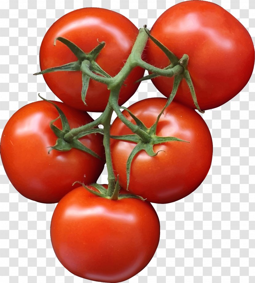 Pizza Tomato Vegetable Salad - Bell Pepper Transparent PNG