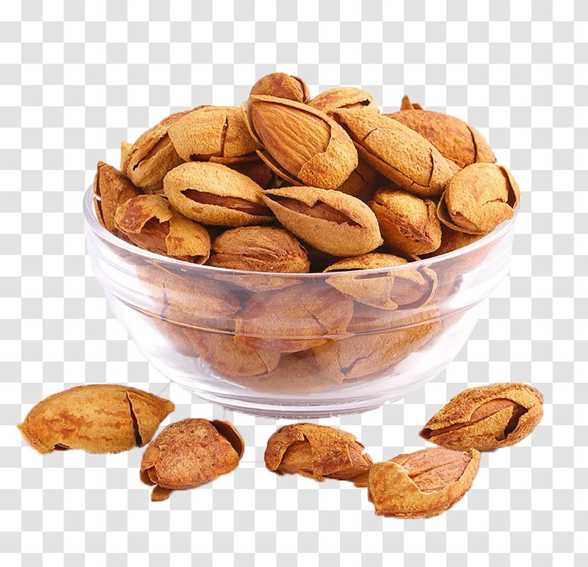 Almond Squirrel Dried Fruit Snack Nut - Walnut - Bowl Transparent PNG