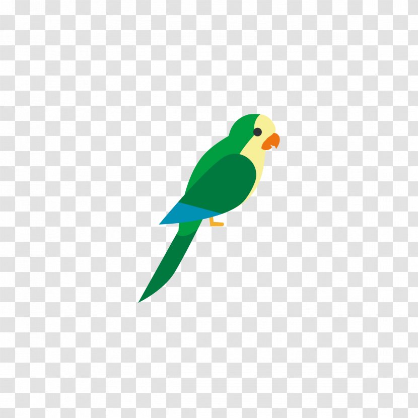 Bird Parrots Of New Guinea Euclidean Vector - Multicolored Parrot Transparent PNG