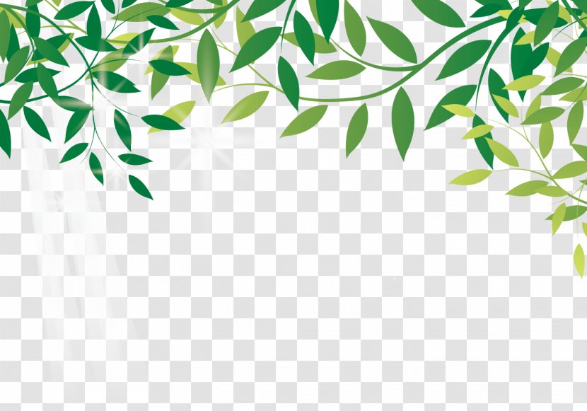 Amazon.com Earth Leaf Online Shopping Amazon Rainforest - Triangle - Leaves Blocked Transparent PNG