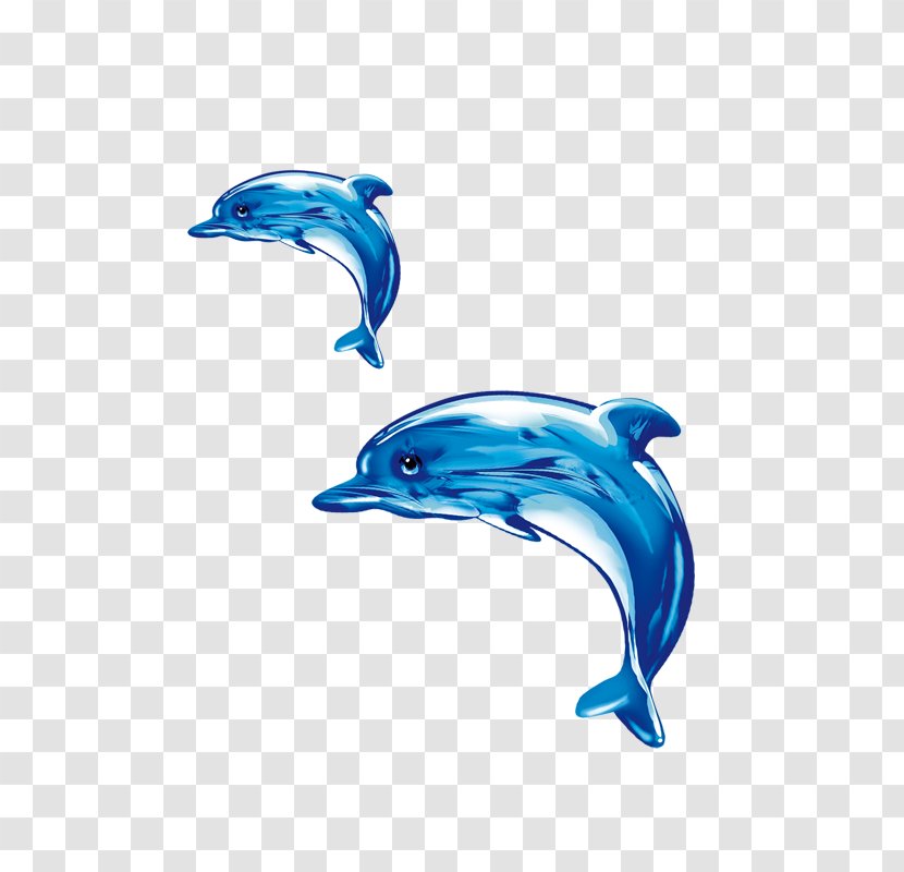 Common Bottlenose Dolphin Short-beaked Tucuxi Wholphin - Shortbeaked Transparent PNG