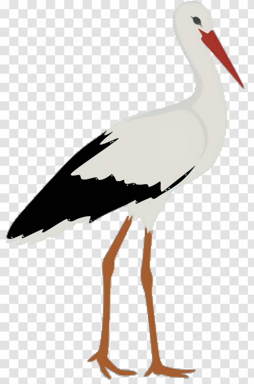 Crane Bird - Stilt Wildlife Transparent PNG