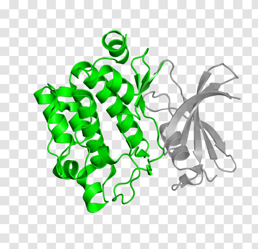 Serine/threonine-specific Protein Kinase Bioinformatics - Frame - Watercolor Transparent PNG