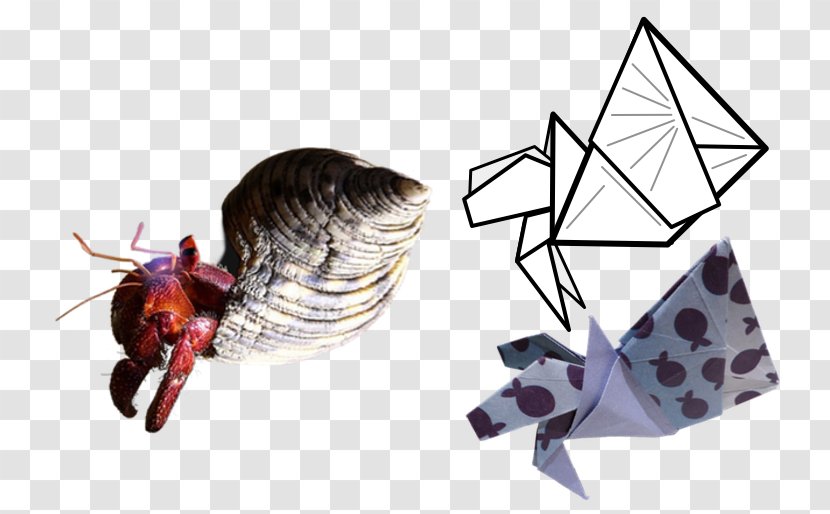 YouTube The Hermit Crabs - Diagram - Youtube Transparent PNG