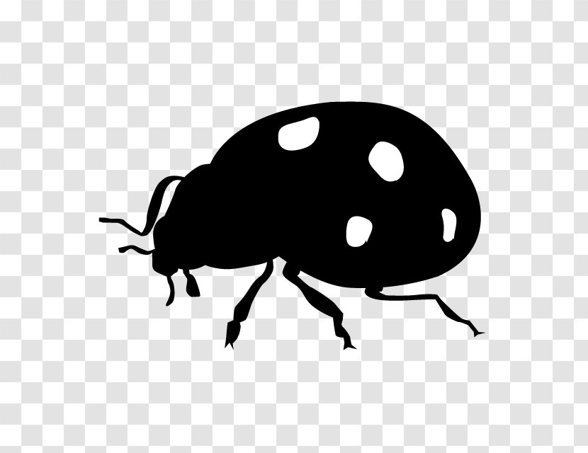 Ladybird Beetle Insect Silhouette Clip Art - Kiba Transparent PNG