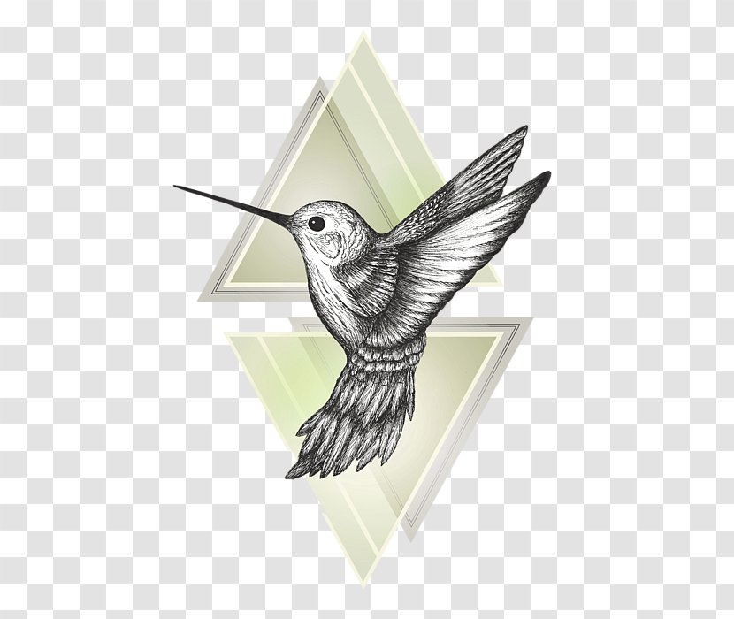 Hummingbird Drawing Art Transparent PNG