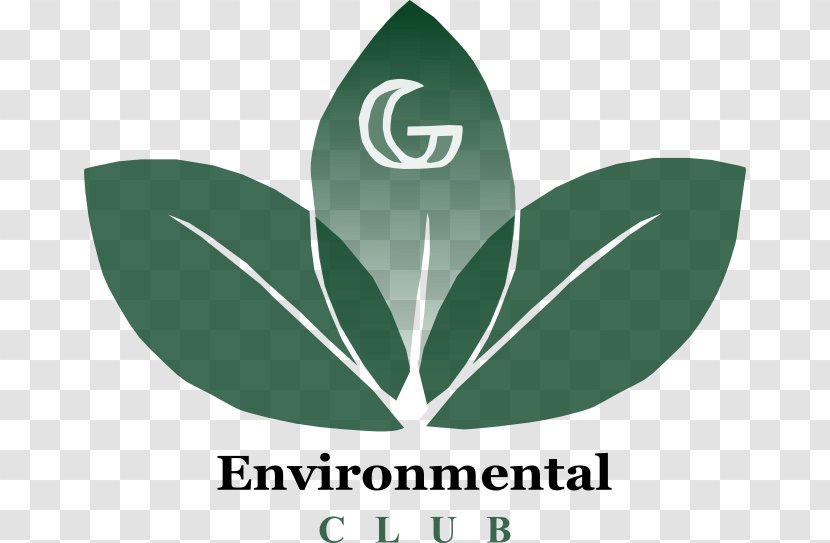 Logo Green Leaf Brand Font - Auditor Transparent PNG