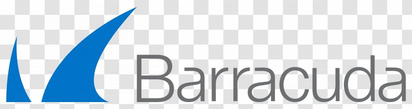 Barracuda Networks Application Firewall Next-Generation Computer Security - Fire Wall Transparent PNG