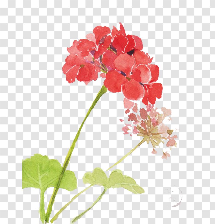 Watercolor: Flowers Watercolor Painting Transparent PNG