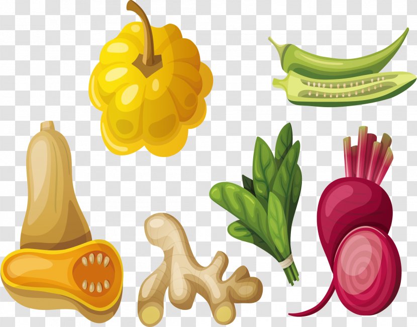 Vegetable Food Pumpkin Illustration - Brassica Oleracea - Daquan Transparent PNG
