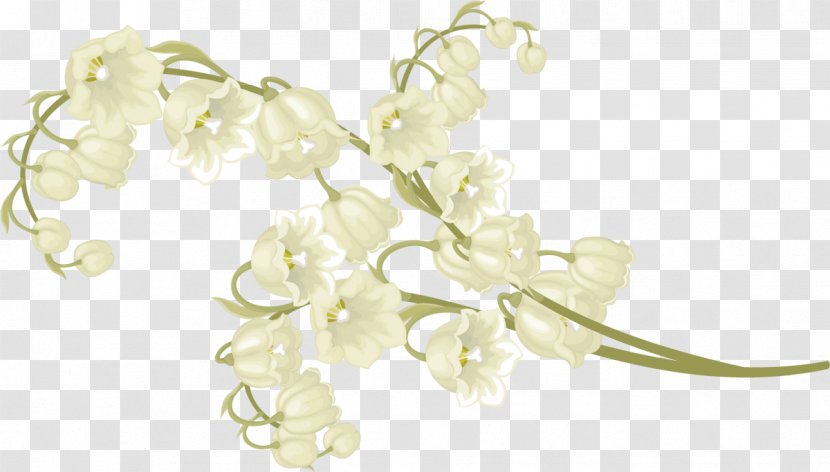 Blog 1 May - White - Lily Of The Valley Transparent PNG