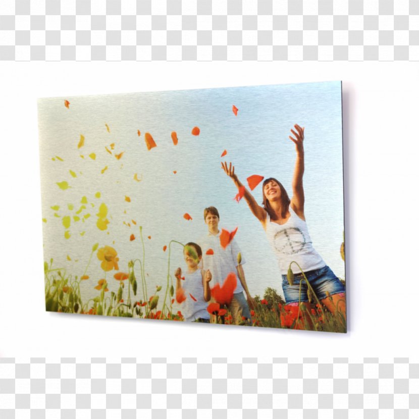 Desktop Wallpaper Associação Mutualista De Arcozelo Lifestyle Guru Health Insurance - Material - Hanging Polaroid Transparent PNG