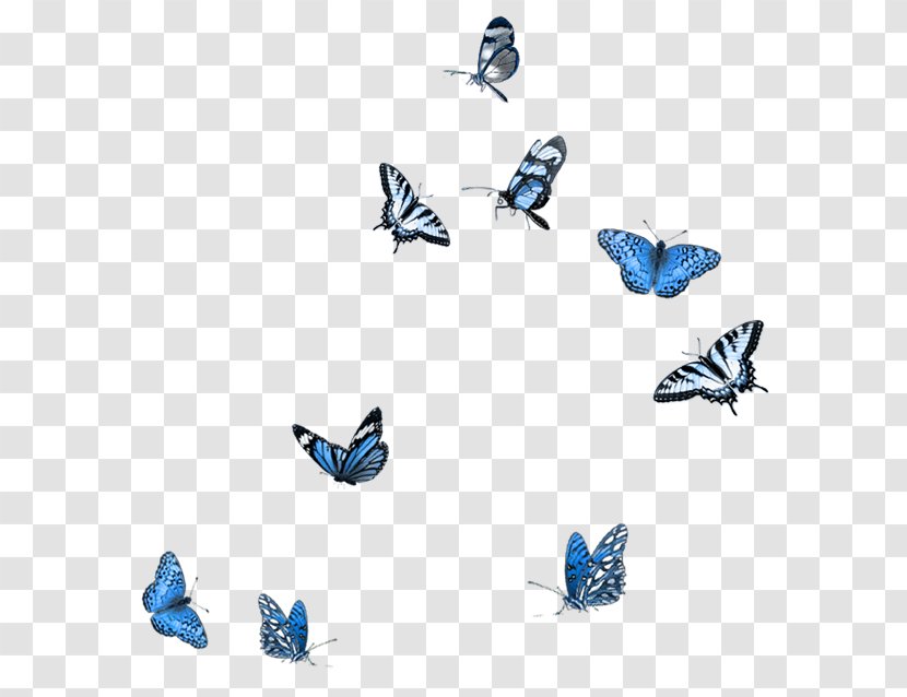 Butterfly Clip Art - Invertebrate - Blue Transparent PNG