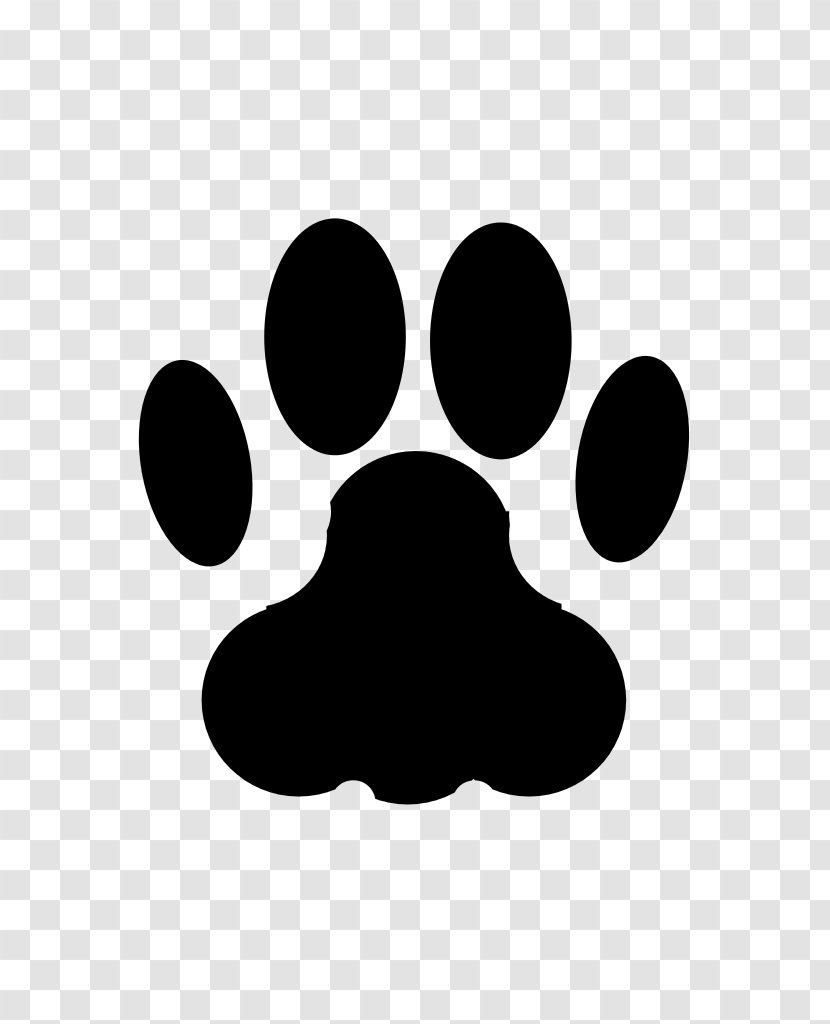 Cat Dog Paw Footprint Transparent PNG