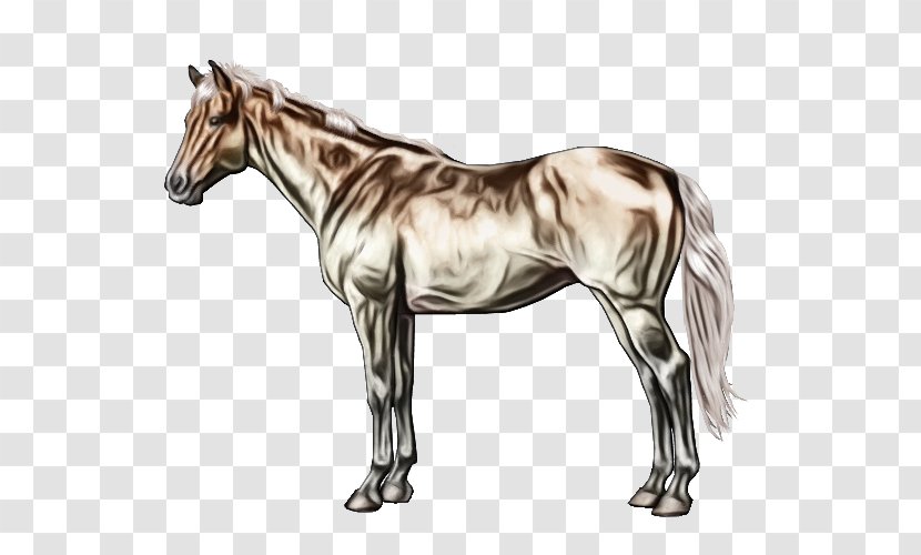Horse Animal Figure Mare Sorrel Mane - Wet Ink - Liver Mustang Transparent PNG