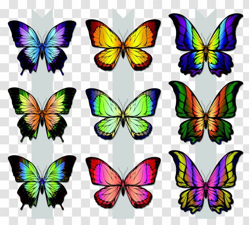 Monarch Butterfly Illustration - Moths And Butterflies - Creative Transparent PNG