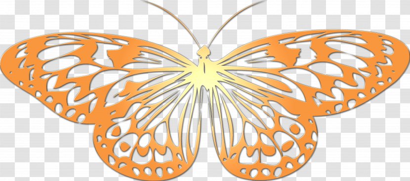 Monarch Butterfly Insect Nymphalidae Clip Art - Butterflies Transparent PNG