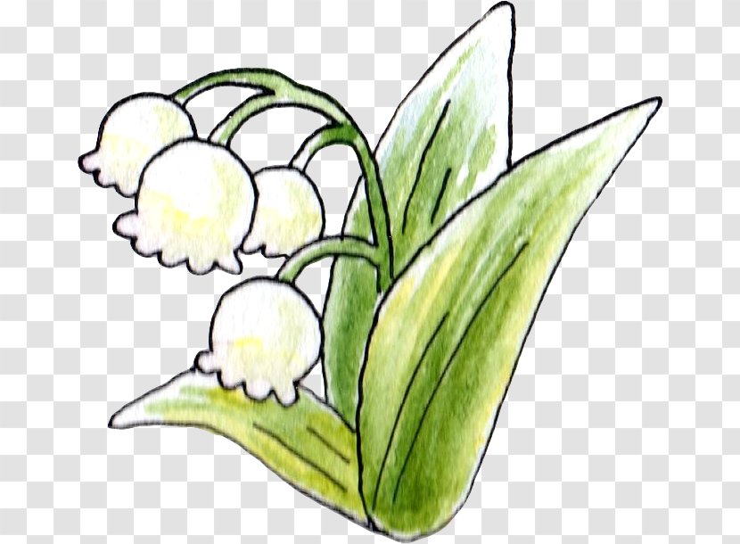 Floral Design Lily Of The Valley Flower Uda - Flowering Plant Transparent PNG