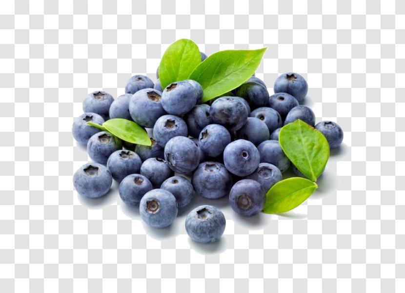Blueberry Fruit Food Antioxidant Shrub - Eating Transparent PNG