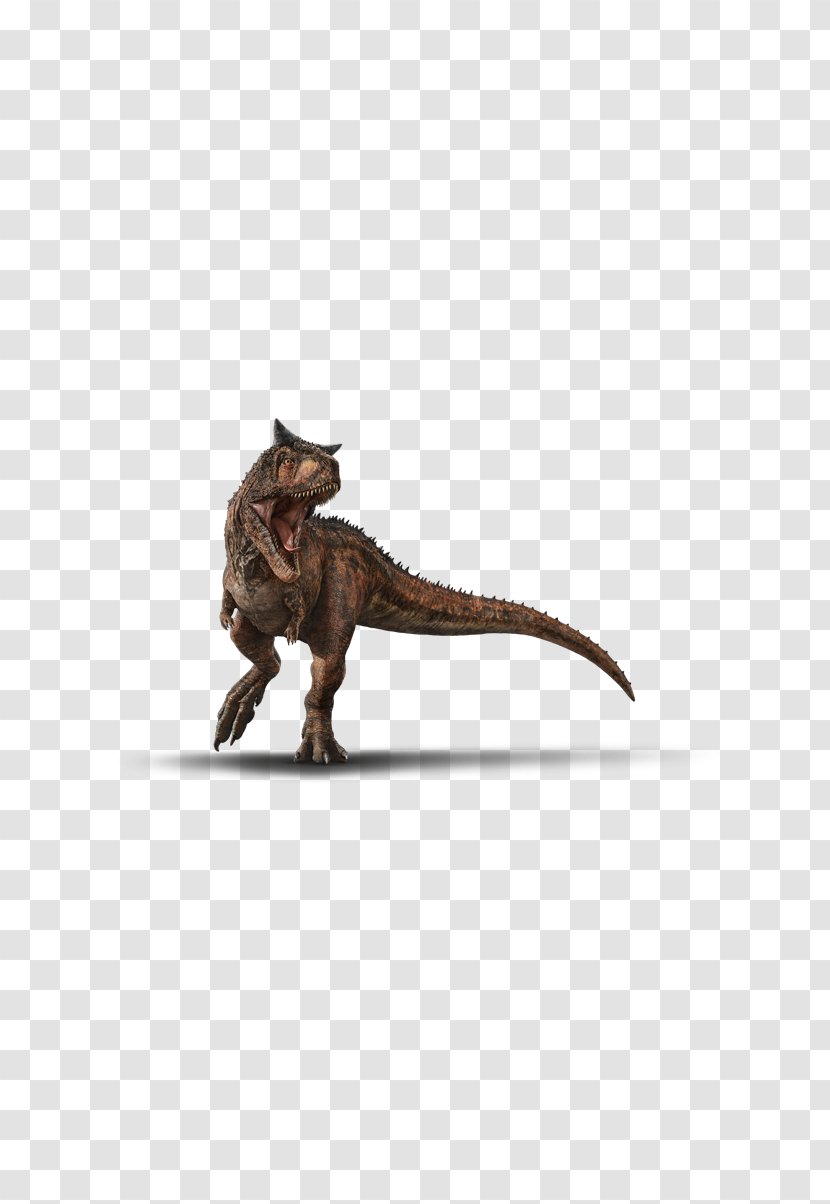 Velociraptor Dinosaur Tyrannosaurus Indoraptor Carnotaurus - Uchiha Clan - Jurassic World Transparent PNG