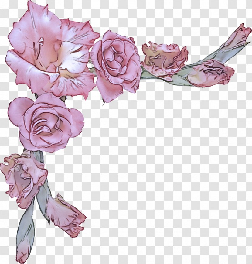 Garden Roses - Flower - Rose Order Petal Transparent PNG
