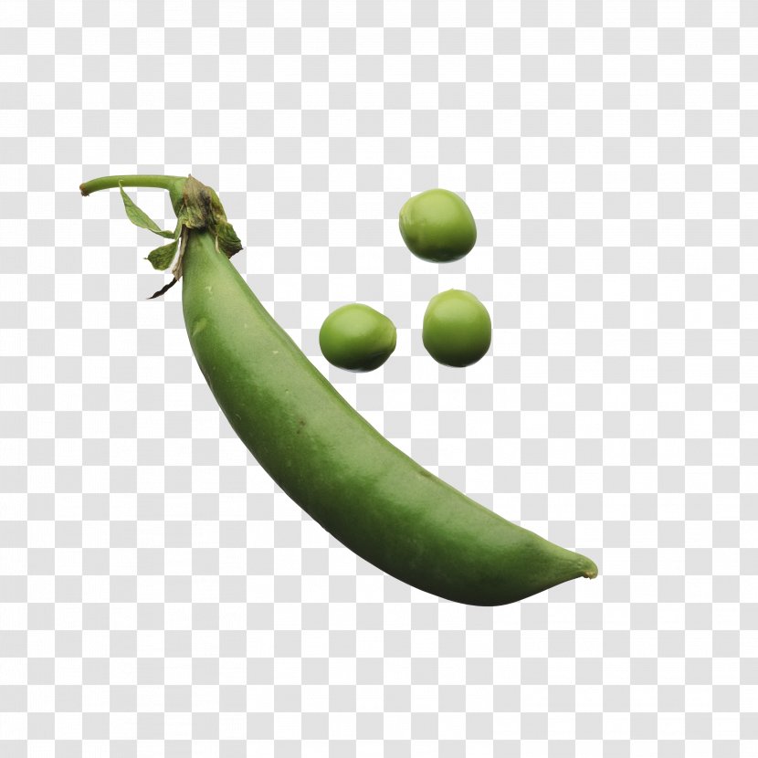 Pea Vegetable Food Legume Image Transparent PNG