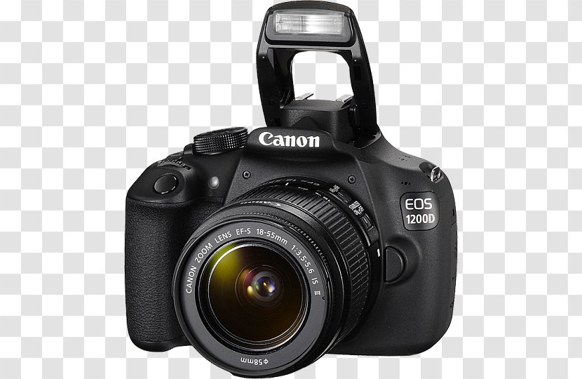 Canon EOS 800D 1300D 2000D 77D EF Lens Mount - Digital Camera Transparent PNG