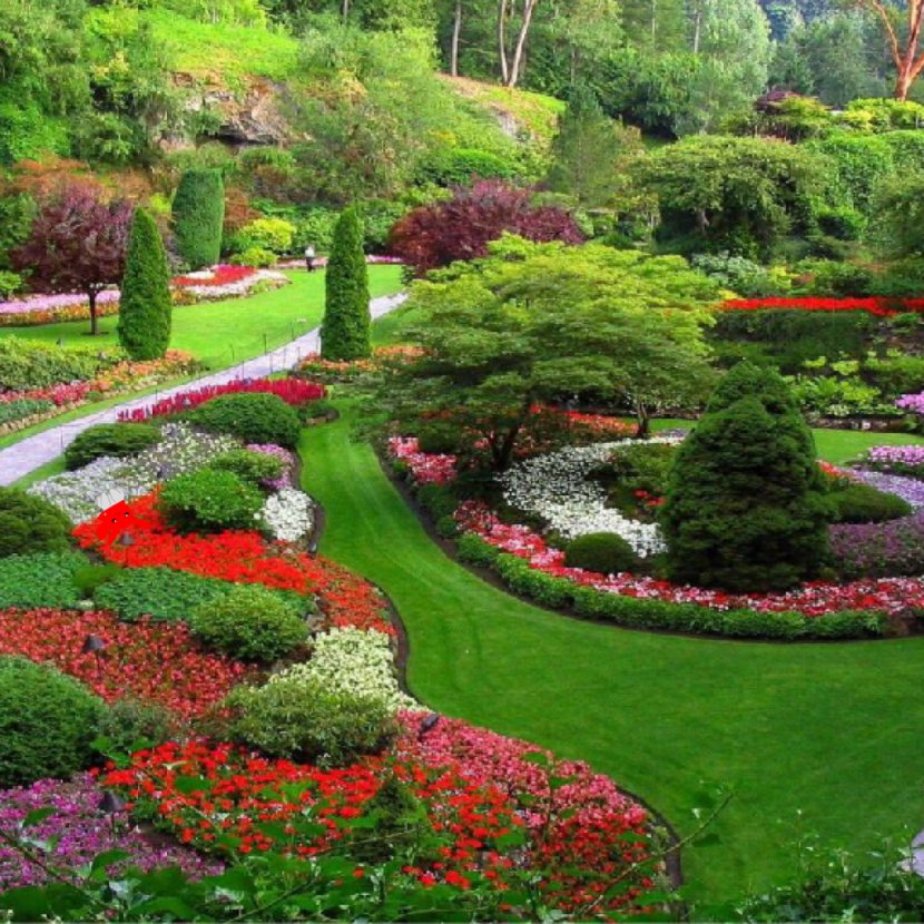 Garden Landscapes Small Family Gardens Ideas Landscape Design - Flower - Gazebo Transparent PNG