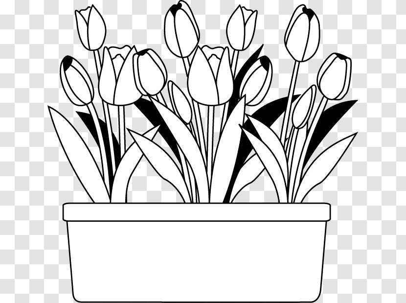 Black And White Flower Monochrome Painting Transparent PNG