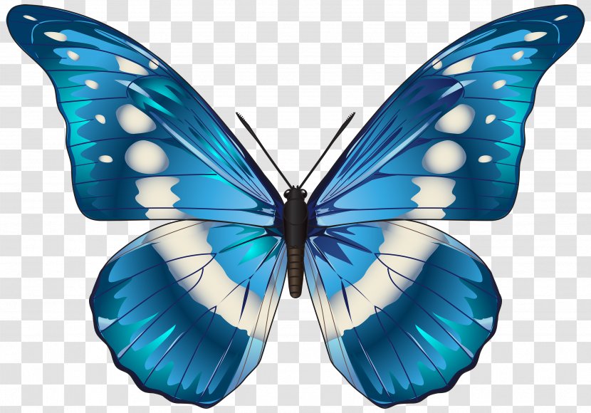 Butterfly Blue Morpho Menelaus Clip Art - Lycaenid - Image Transparent PNG