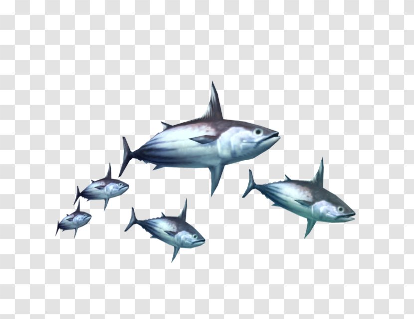 Thunnus Fish Τόνος Food - Bony - Shark In The Water Transparent PNG