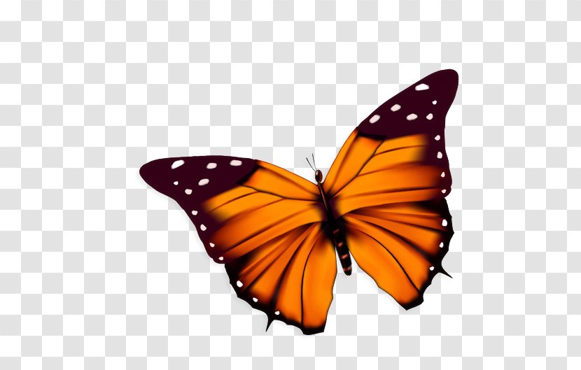 Butterfly - Monarch - Cartoon Transparent PNG