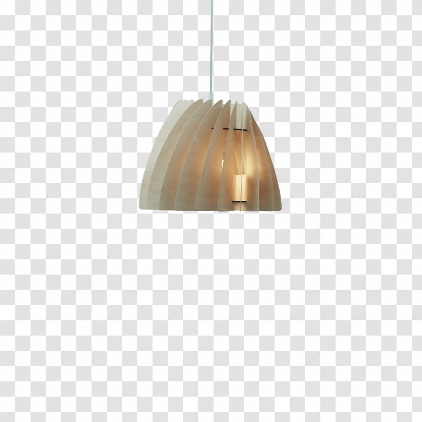 Pendant Light Fixture Lighting Electric - Birch Transparent PNG