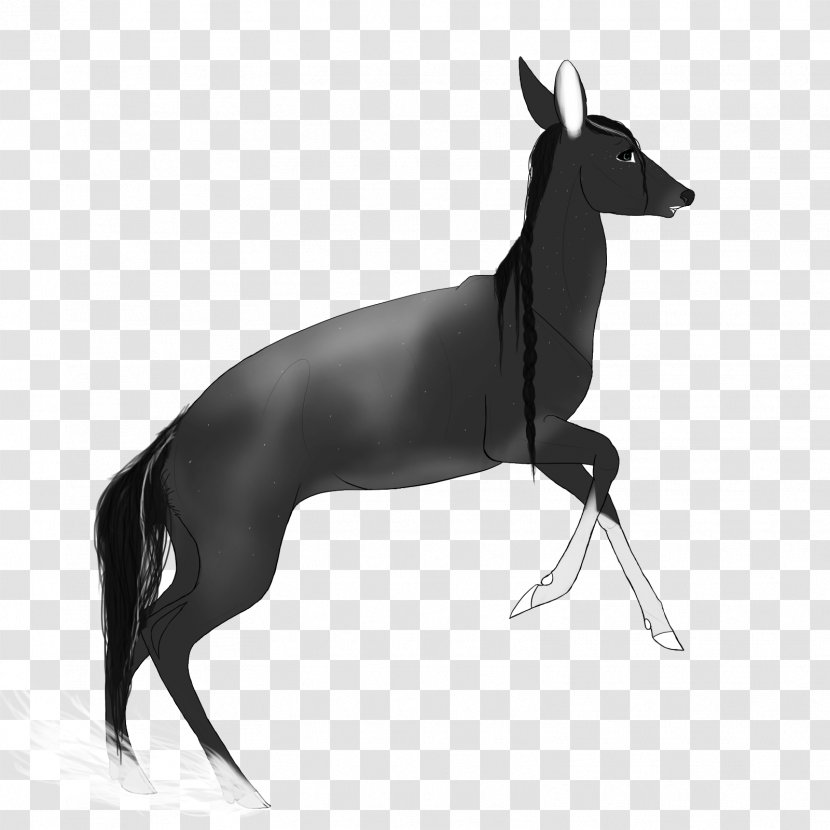 Italian Greyhound Whippet Spanish Dog Breed - Deer Transparent PNG