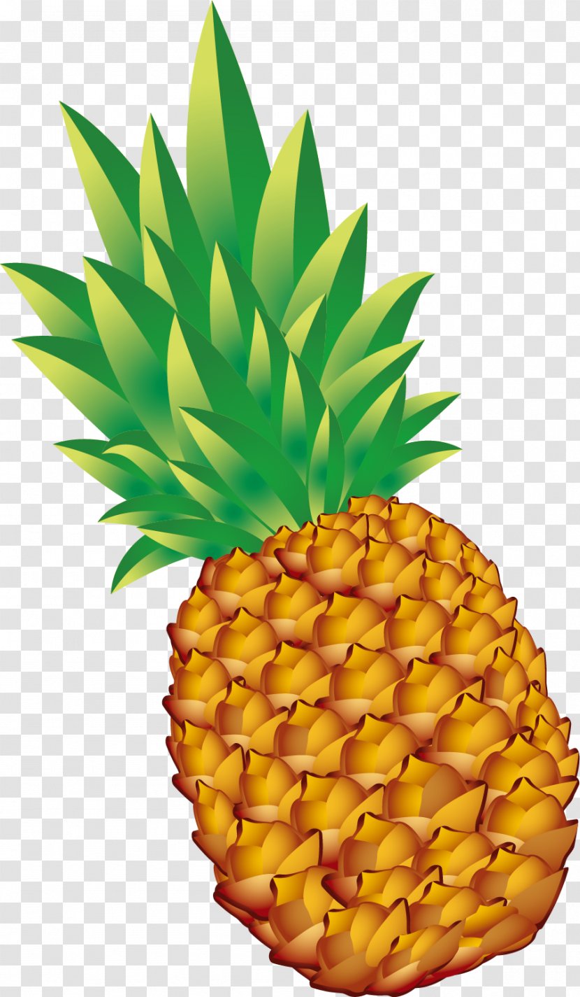 Pineapple Vegetarianism Fruit - Nutrition - Hand Painted Yellow Transparent PNG