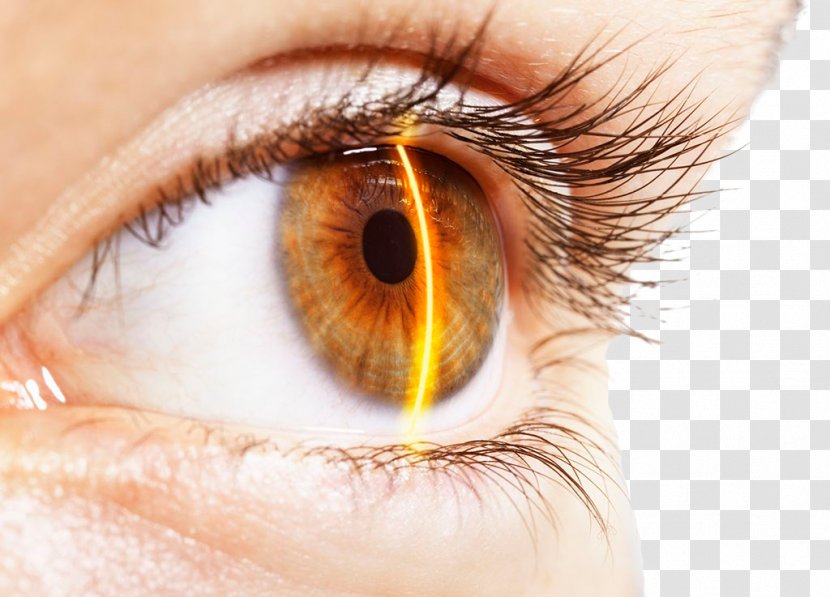 Eye Iris Recognition Human Body Technology - Cartoon - Beauty Eyelashes Transparent PNG