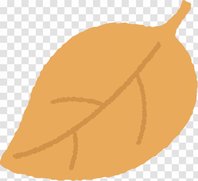 Leaf Tree Plant Pear Food - Fruit Transparent PNG