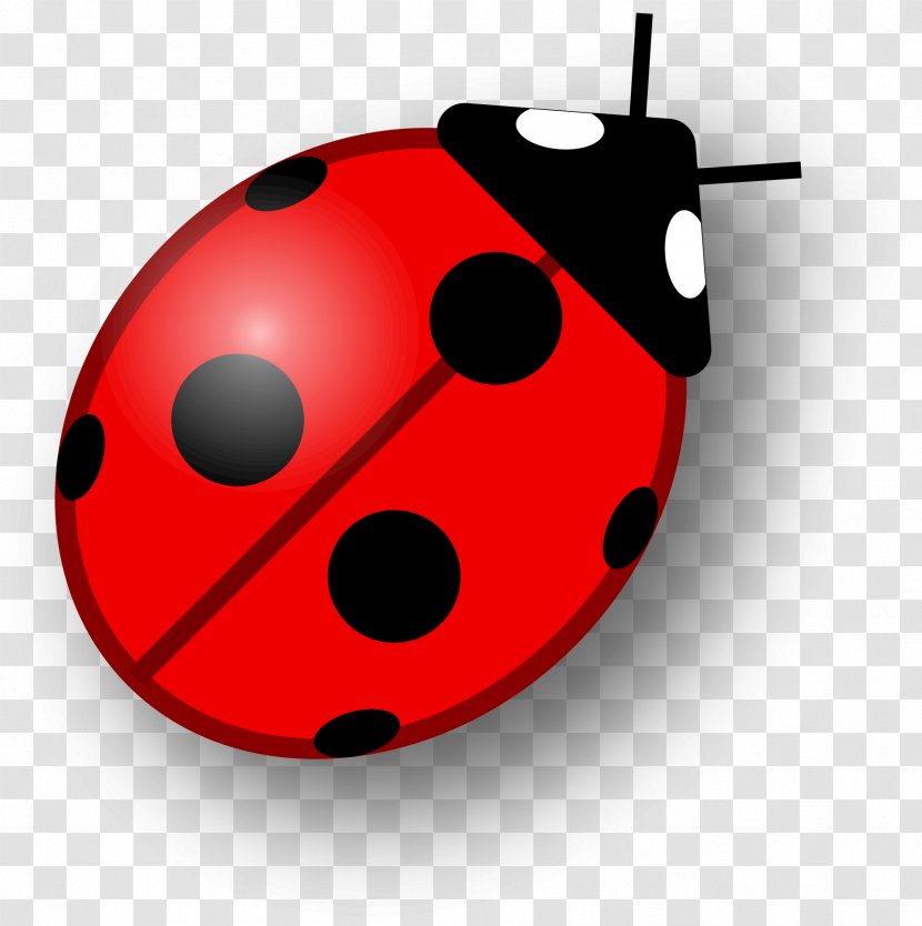 Clip Art - Beetle - Ladybug Transparent PNG