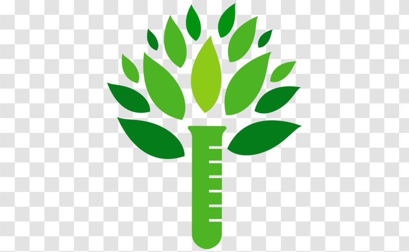 Tree Logo - Flower Transparent PNG