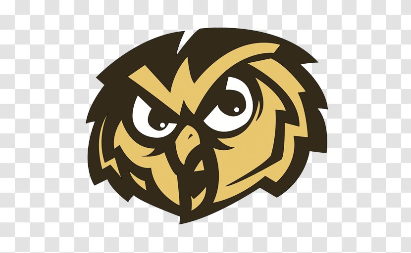 Temple Owls Men's Basketball Football University - Symbol - Owl Transparent PNG