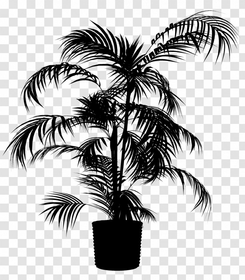 Asian Palmyra Palm Babassu Black & White - Coconut - M Trees Date Transparent PNG