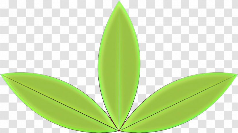 Green Leaf Logo - Perennial Plant Transparent PNG