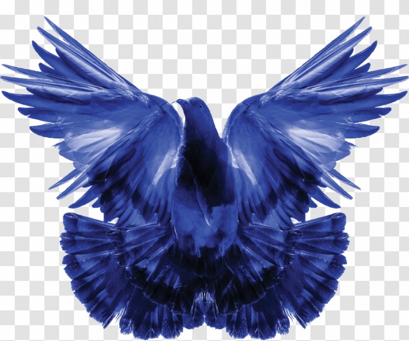 When The Future Ended Columbidae HITE Collection Video Arabella City Real Estate Investments & Contracting - Exhibition - Blue Dove Transparent PNG